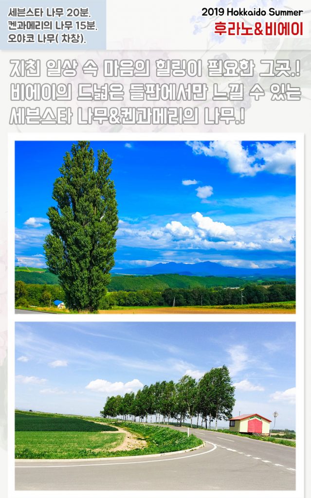 北海道美瑛富良野和junchi午餐協作和生活巴士之旅 北海道雜誌 北海道雜誌