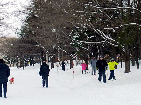 了解札幌附近的冬季活動 北海道雜誌