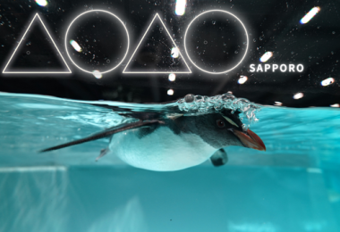 [+할인 쿠폰] AOAO SAPPRO에서 핑구를 만나자❤