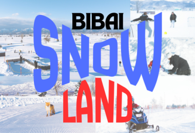 (+할인코드) 삿포로에서 스노우랜드❄️ ‘비바이 스노우랜드’ (눈썰매, 눈 액티비티 체험)